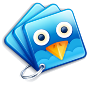 Twidium Accounter